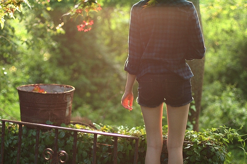 2026年的祝福語 2026年的祝福語