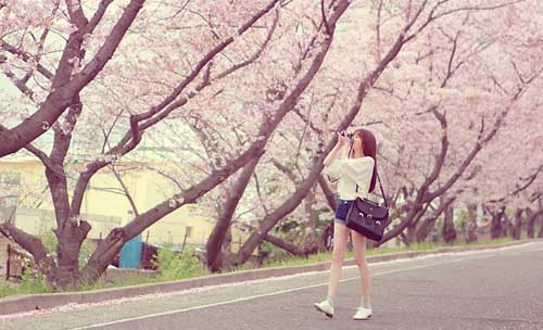 早上走走心情好說說短語（通用20句）