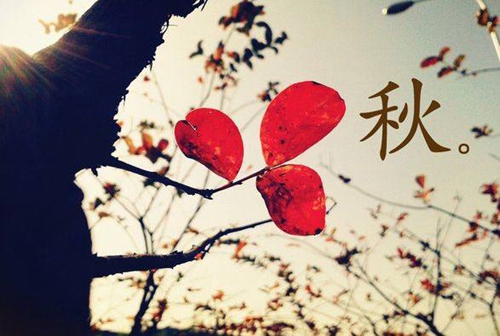 明揚滔名字96分（明揚名字怎么樣）