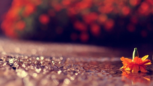 段姓孩子取名用字有哪些 段姓孩子取名用字有哪些