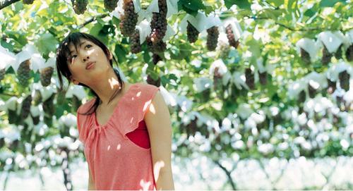 感謝吊唁言的短信