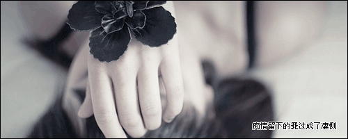 親妹妹訂婚怎么祝福