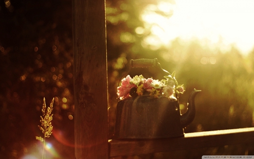 關于存在的句子