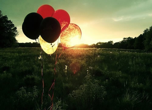 給烏龜取名有寓意嗎女孩