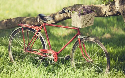 起名有用婼這個字的嗎 起名有用婼這個字的嗎